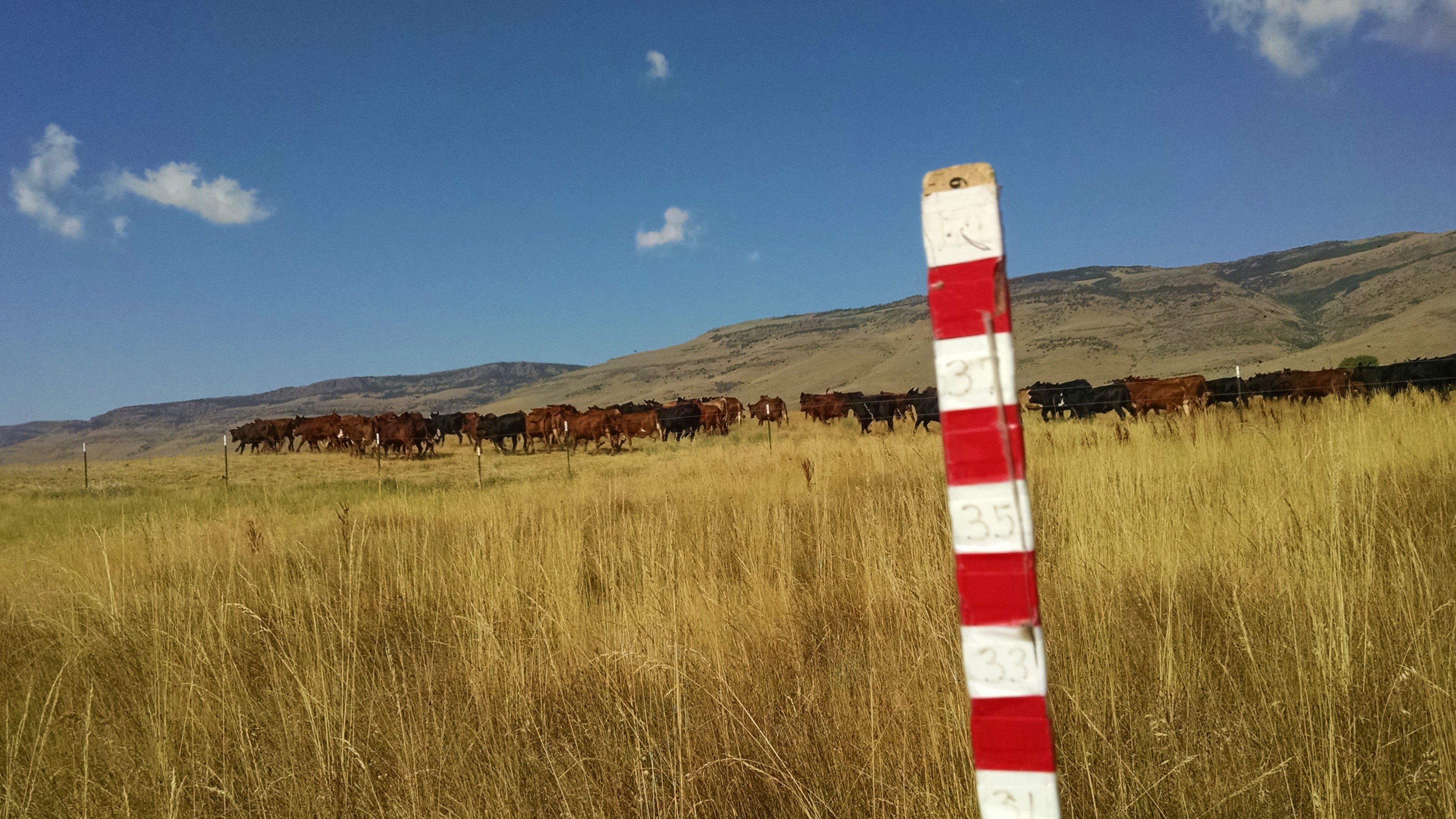 IMG_20170726_102851218