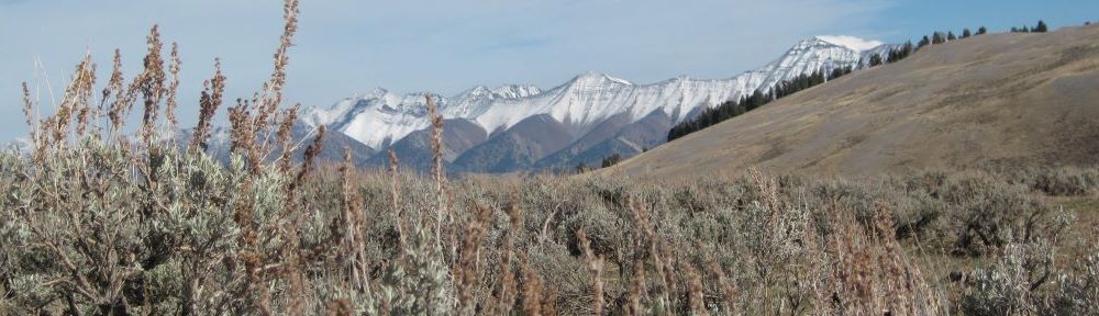 The Grouse & Grazing Project